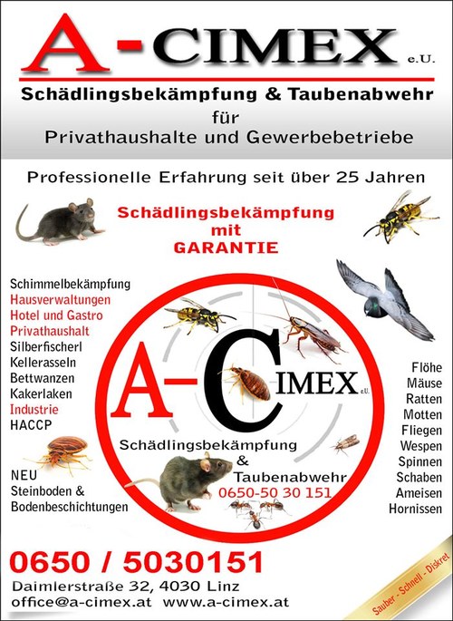 A-Cimex